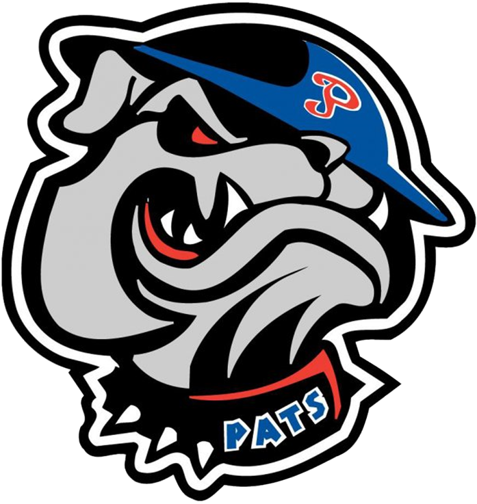 Regina Pats 2002-Pres Alternate Logo iron on heat transfer